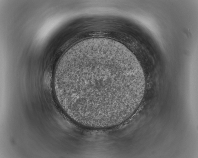 X0000113300146200910051049
