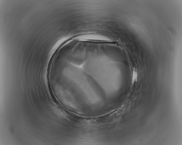 X0000113300147200910051049