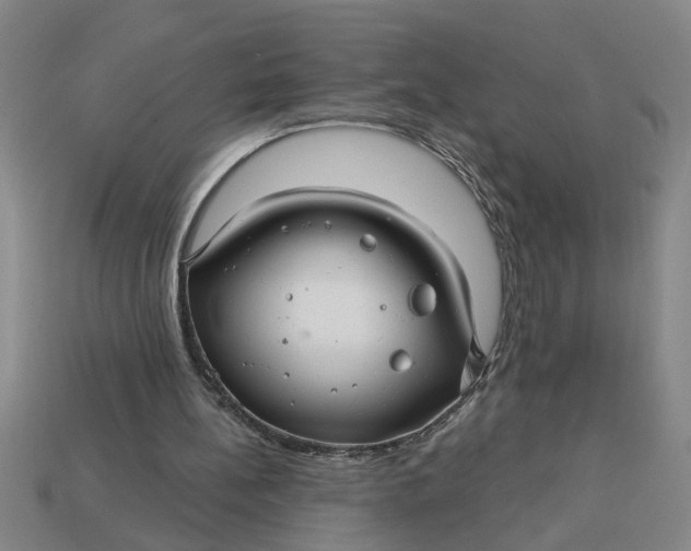 X0000113300148200910051049