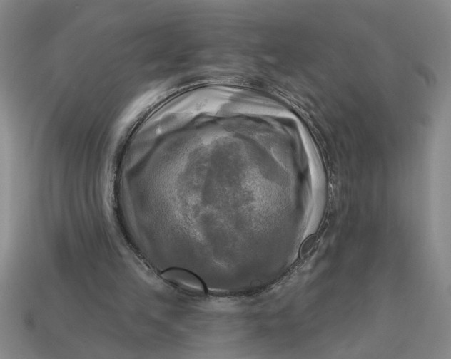 X0000113300149200910051049