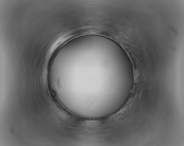 X0000113300150200910051049