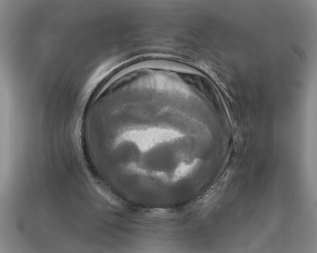 X0000113300151200910051049