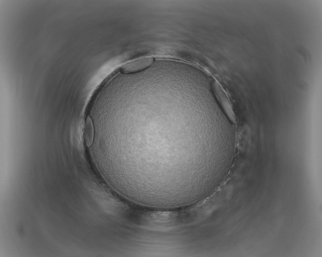 X0000113300152200910051049