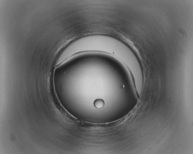 X0000113300154200910051049