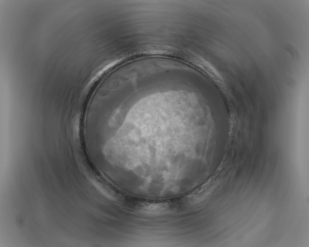X0000113300155200910051049