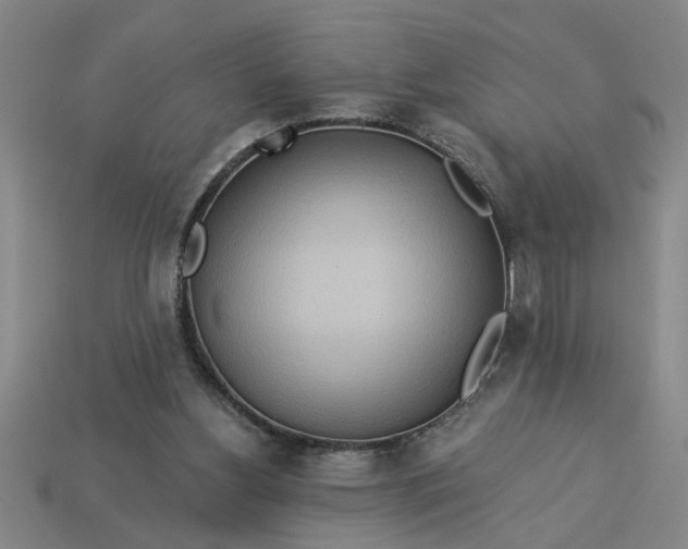 X0000113300156200910051049