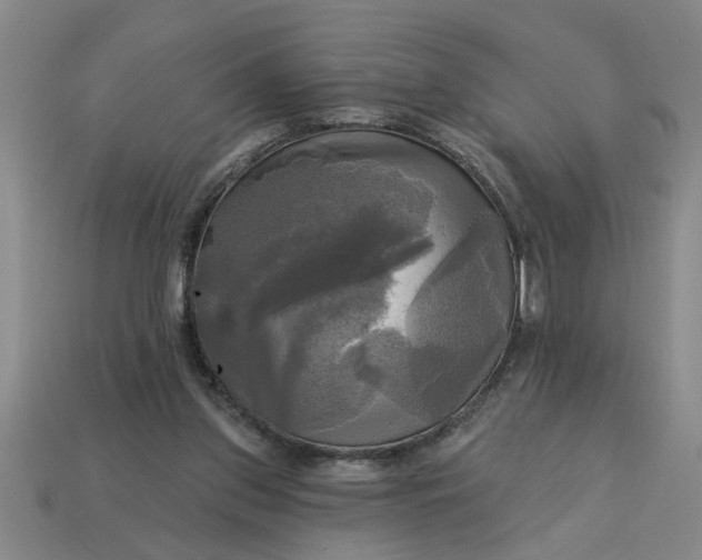 X0000113300157200910051049