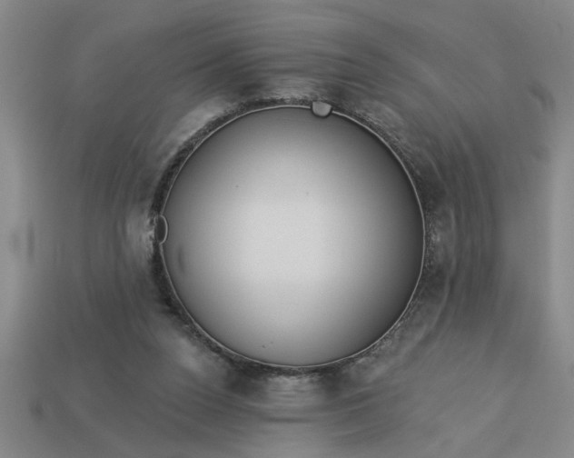 X0000113300160200910051049