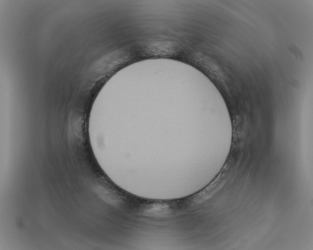 X0000113300162200910051049