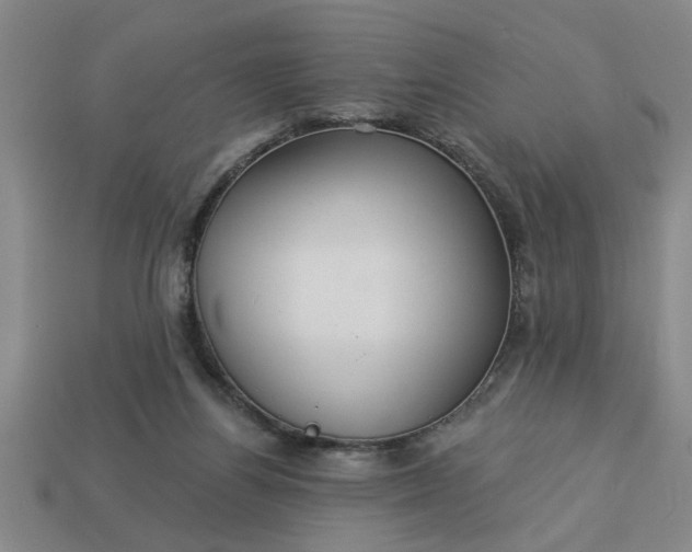 X0000113300164200910051049