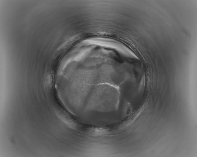 X0000113300165200910051049