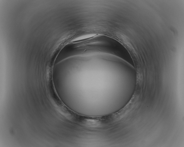 X0000113300167200910051049