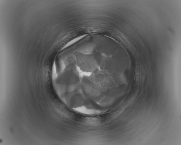 X0000113300169200910051049