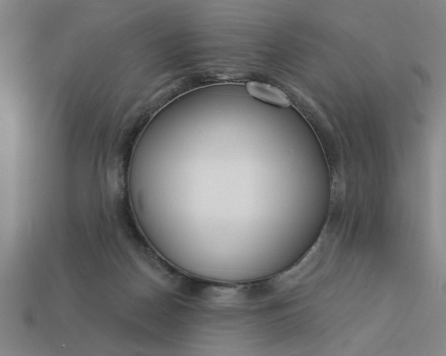 X0000113300170200910051049
