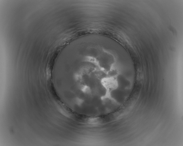 X0000113300173200910051050