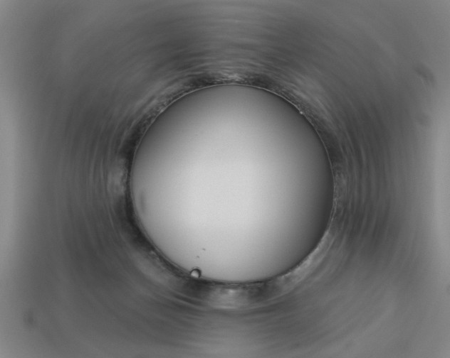 X0000113300174200910051050