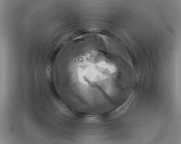X0000113300175200910051050