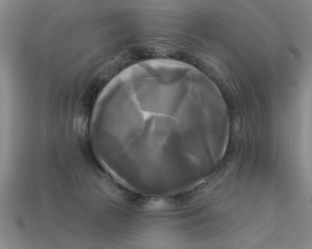 X0000113300177200910051050