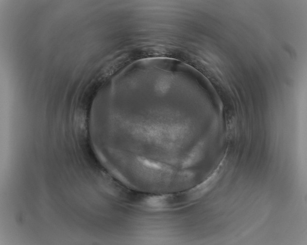 X0000113300178200910051050