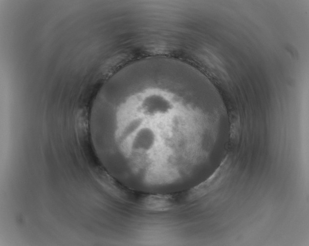 X0000113300179200910051050