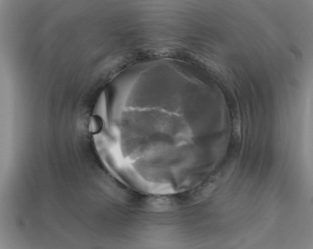 X0000113300181200910051050