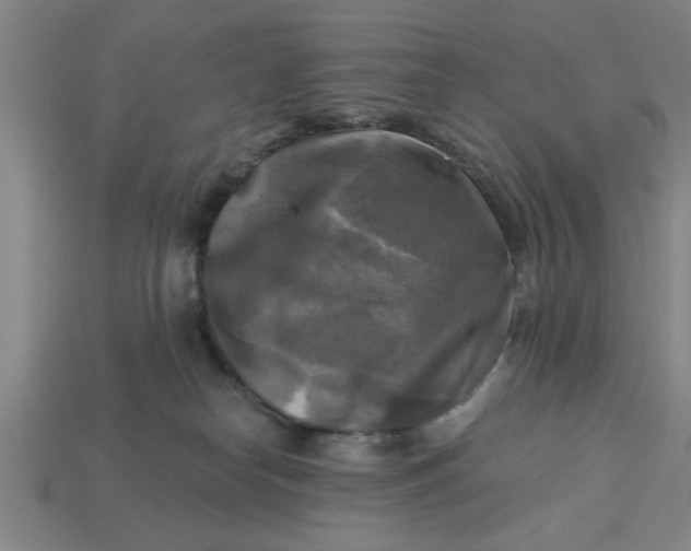 X0000113300182200910051050