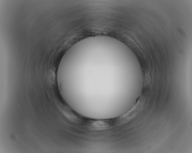 X0000113300183200910051050