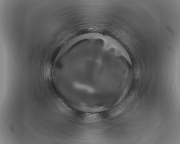 X0000113300185200910051050