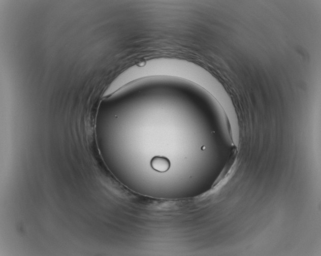 X0000113300186200910051050