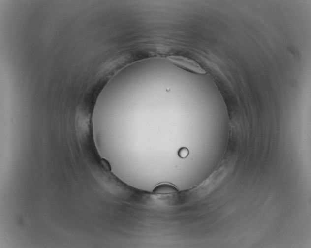 X0000113300188200910051050