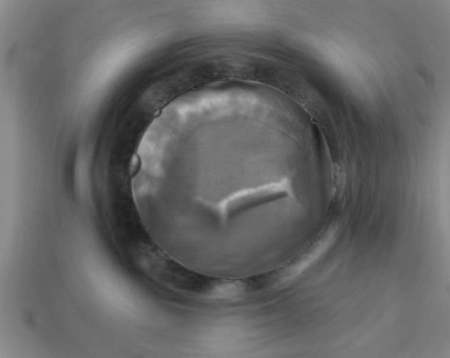 X0000113300189200910051050