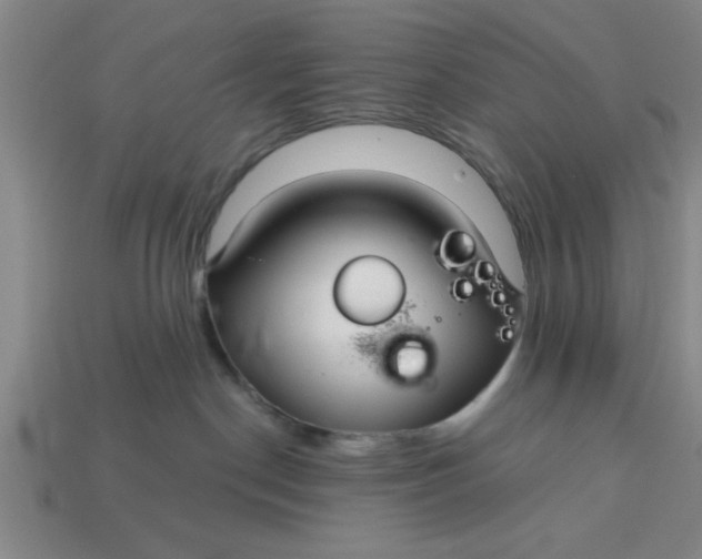X0000113300190200910051050