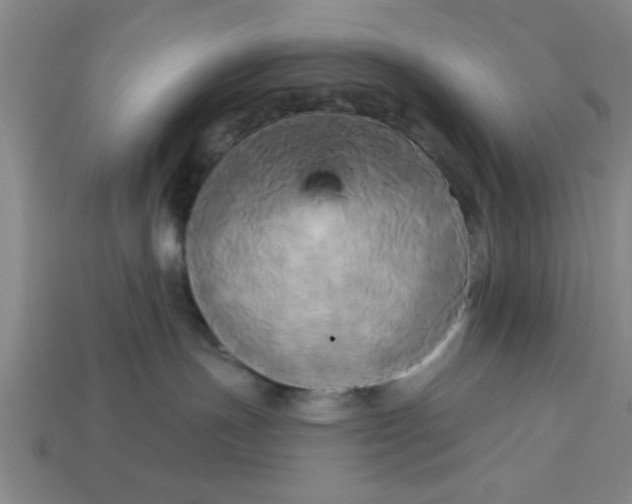 X0000113300191200910051050