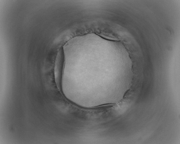 X0000113300192200910051050