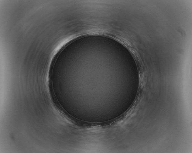 X0000113300196200910051049