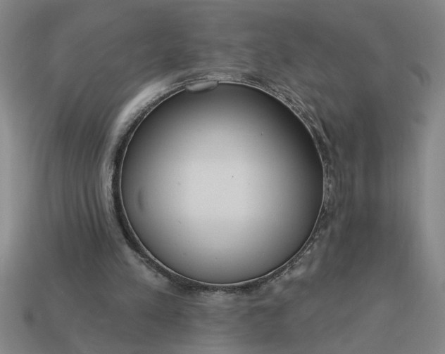 X0000113300197200910051049