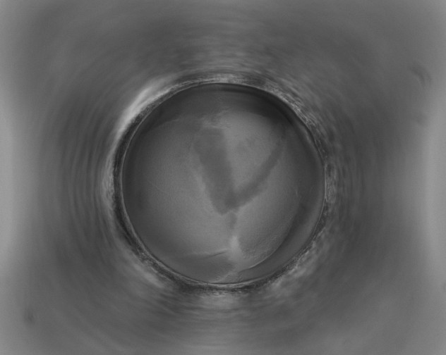 X0000113300198200910051049