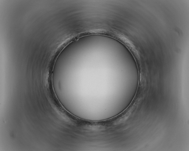 X0000113300201200910051049