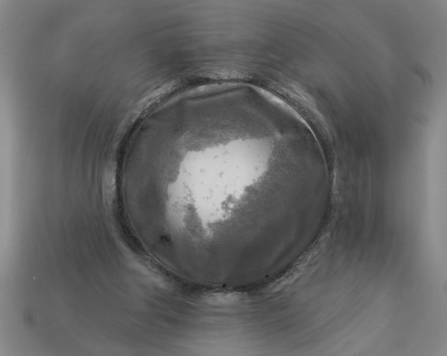 X0000113300202200910051049