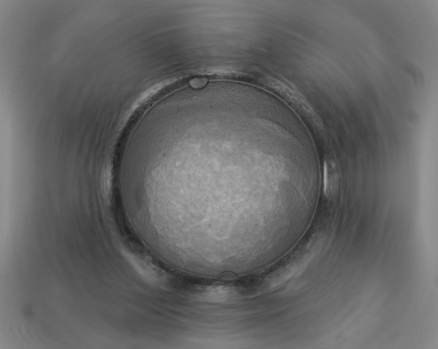 X0000113300204200910051049
