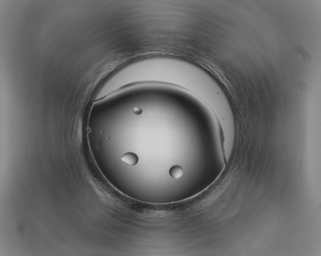 X0000113300205200910051049