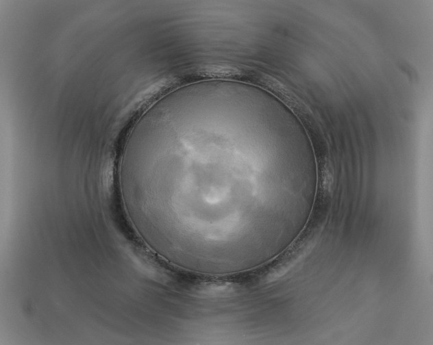 X0000113300206200910051049