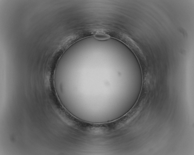 X0000113300209200910051049