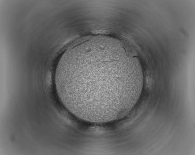 X0000113300211200910051049