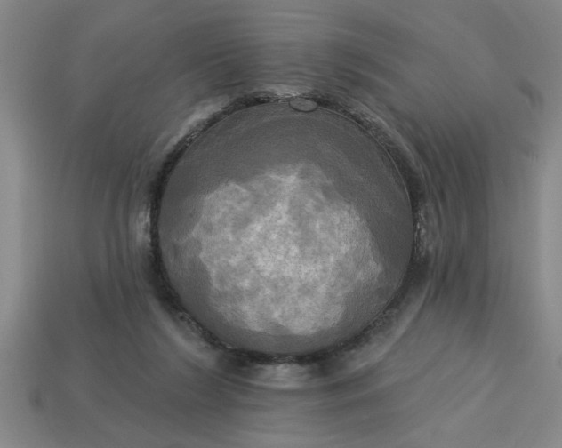 X0000113300212200910051049