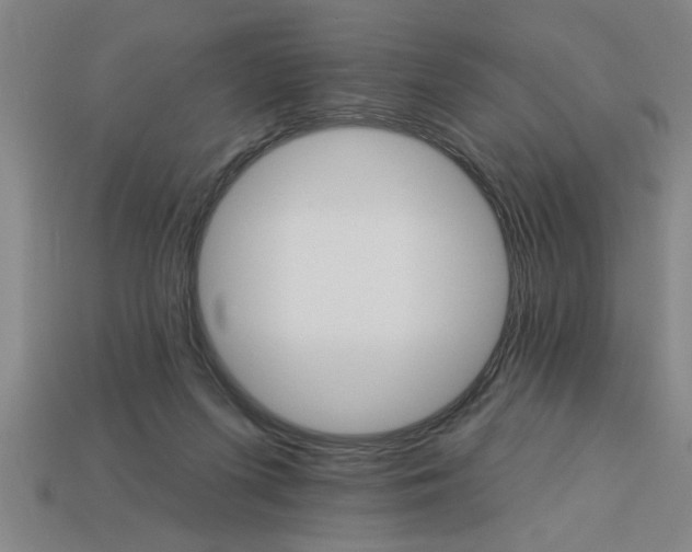 X0000113300215200910051049