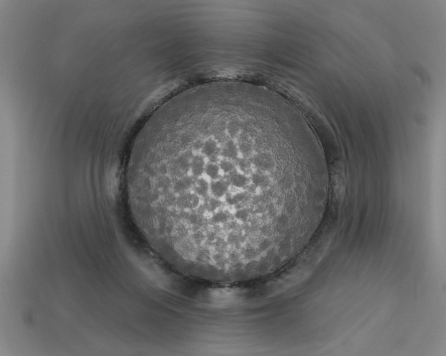 X0000113300216200910051049