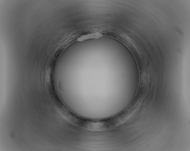 X0000113300217200910051049