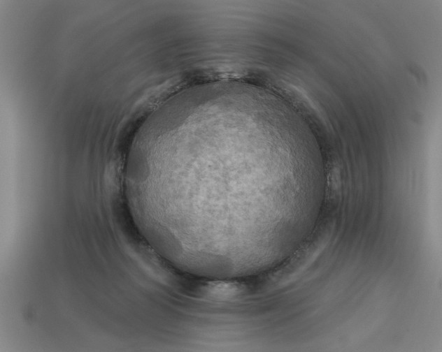 X0000113300218200910051049