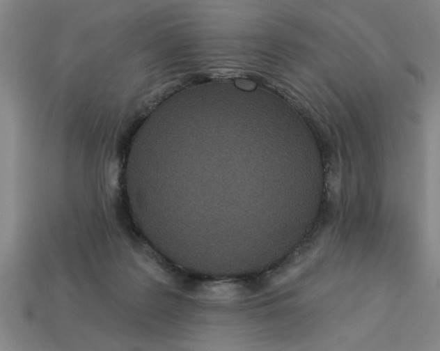 X0000113300219200910051049